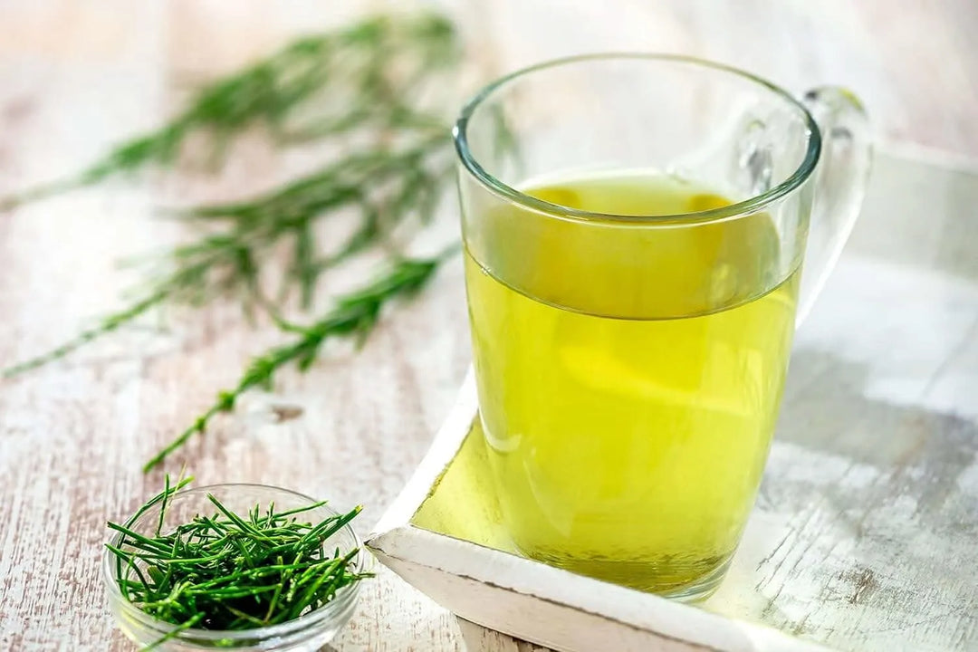 ESTRATTO DI EQUISETO flacone 500 ml x 12 - i Giardini di Giulia