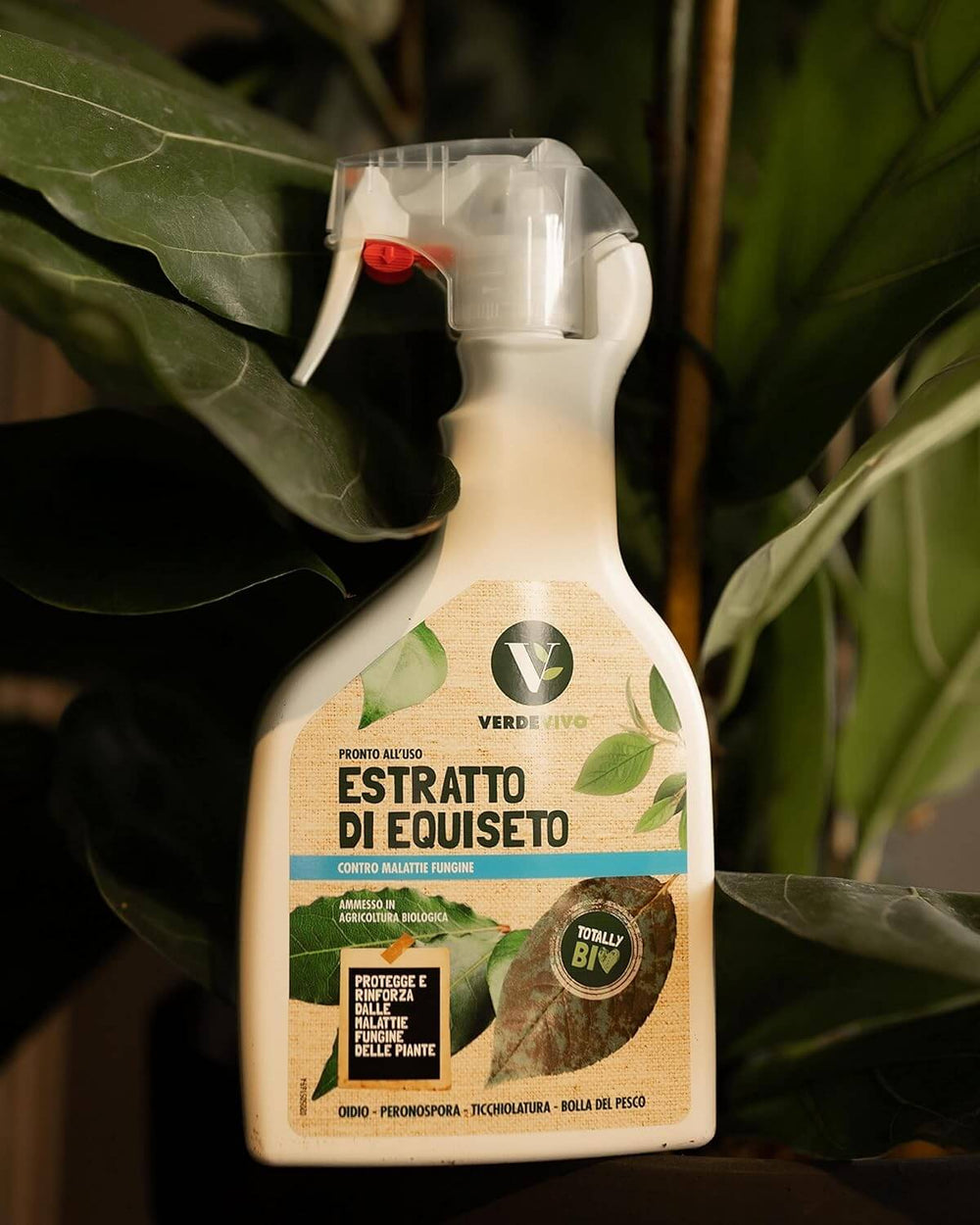 ESTRATTO DI EQUISETO flacone 500 ml x 12 - i Giardini di Giulia