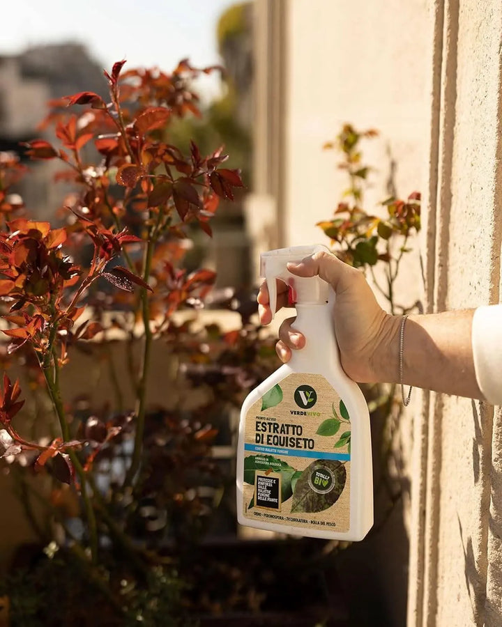 ESTRATTO DI EQUISETO flacone 500 ml x 12 - i Giardini di Giulia