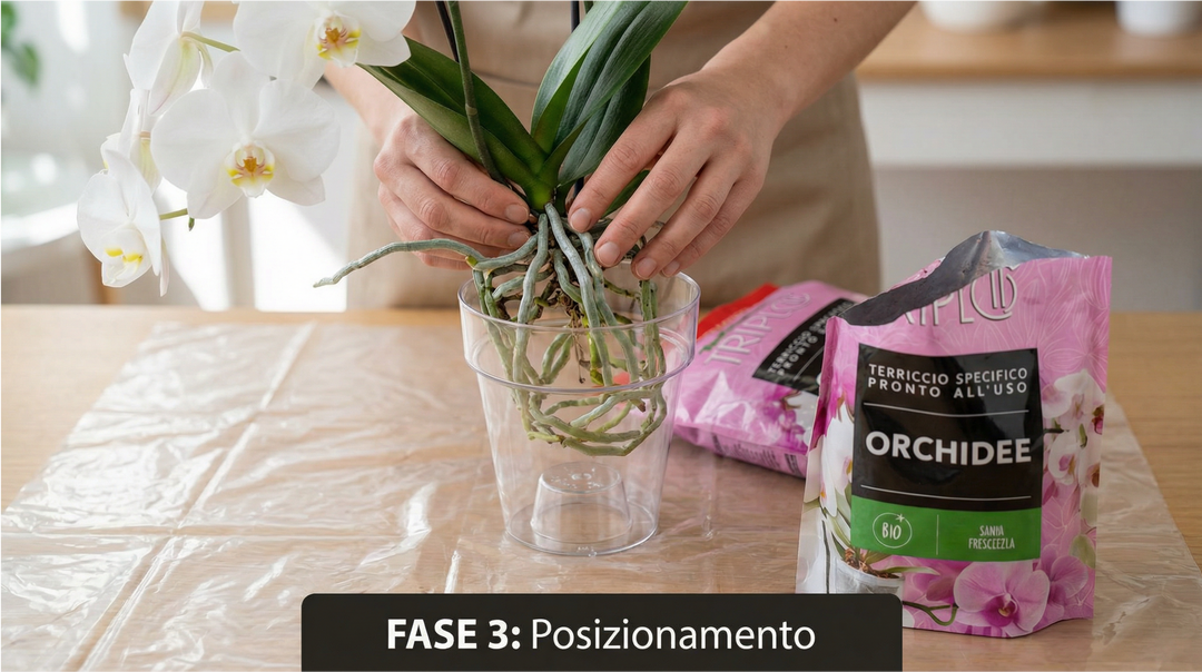 Kit rinvaso completo per orchidee