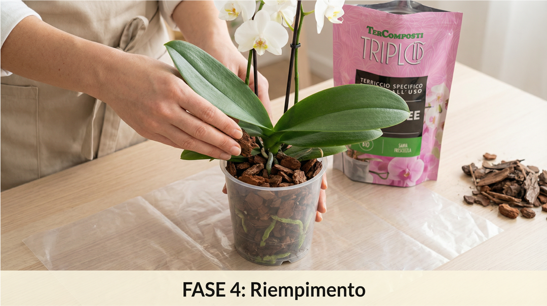Kit rinvaso completo per orchidee
