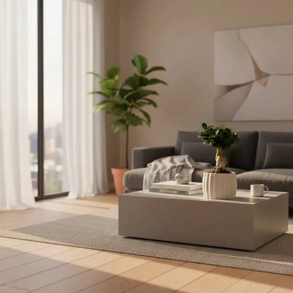 Ficus Ginseng bonsai in vaso alto di ceramica bianca su tavolino in living moderno con divano e luce naturale