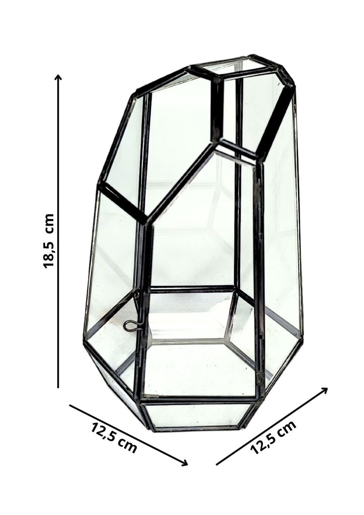 L'immagine mostra un terrario in vetro con dimensioni di 18,5 cm di altezza e 12,5 cm di larghezza. La struttura ha una forma geometrica irregolare, con una porticina frontale per facilitare l'accesso. Questo design unico offre uno spazio ideale per creare paesaggi naturali in miniatura o piccole composizioni vegetali.