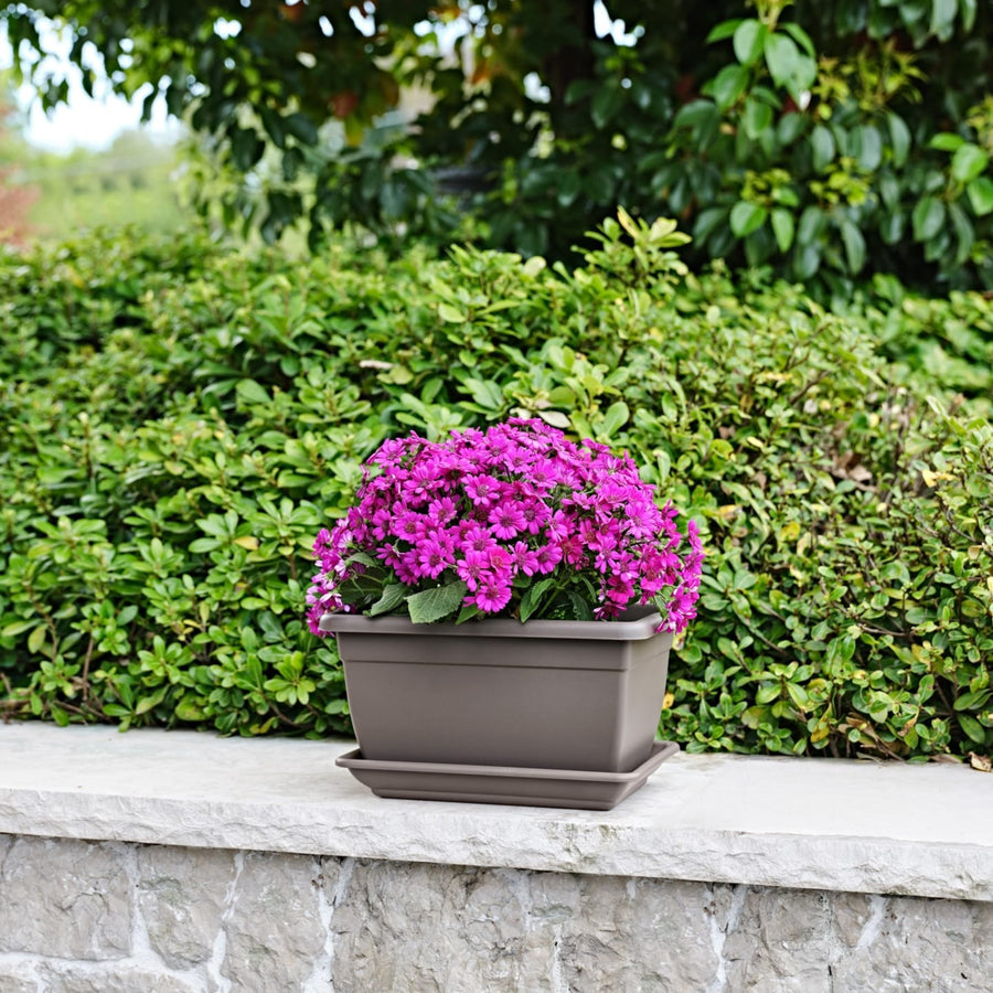 Fioriera rettangolare taupe con fiori viola all’aperto su muretto da giardino.