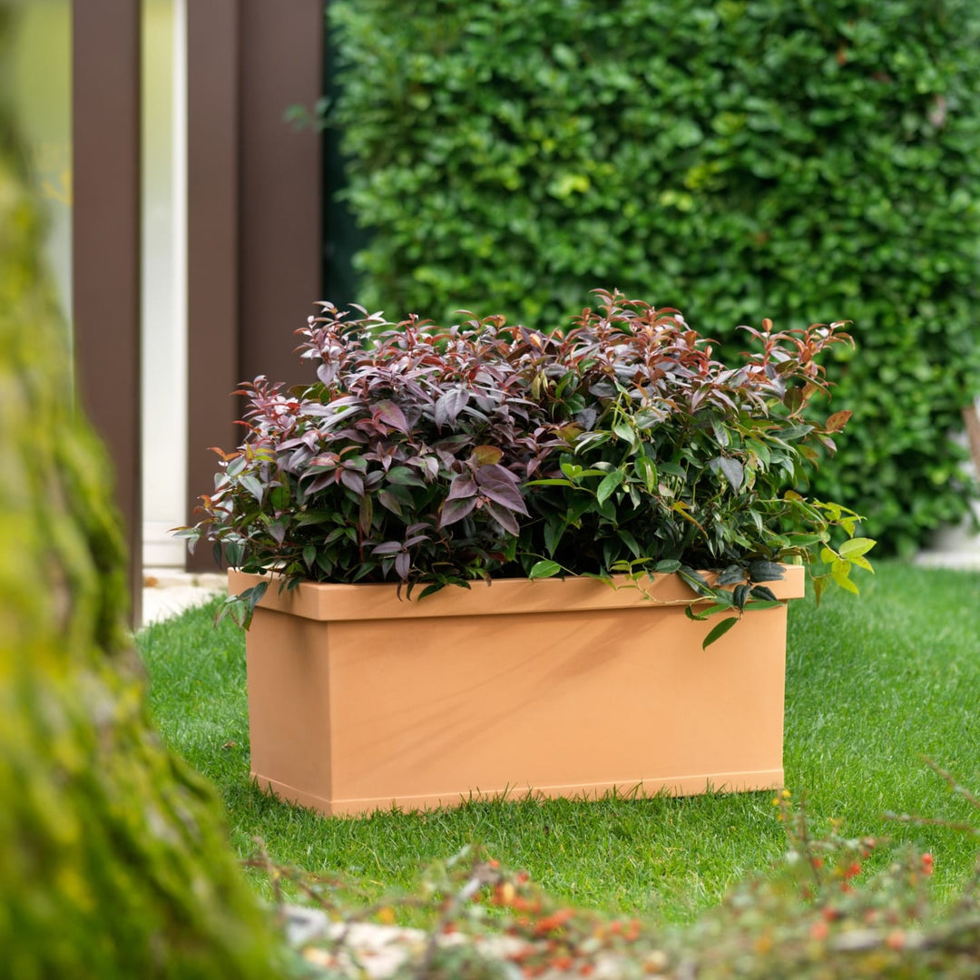 Fioriera rettangolare color terracotta con piante ornamentali a foglia rossa su prato verde