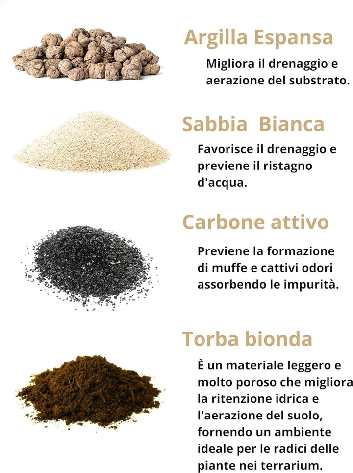 L'immagine descrive quattro materiali utilizzati per la creazione di terrari. L'Argilla Espansa migliora il drenaggio e l'aerazione del substrato. La Sabbia Bianca favorisce il drenaggio e previene il ristagno d'acqua. Il Carbone Attivo assorbe le impurità, prevenendo la formazione di muffe e cattivi odori. La Torba Bionda è un materiale leggero e poroso che migliora la ritenzione idrica e l'aerazione del suolo, creando un ambiente ideale per le radici delle piante.




