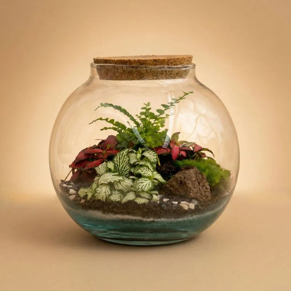 Terrarium Anime con piante verdi