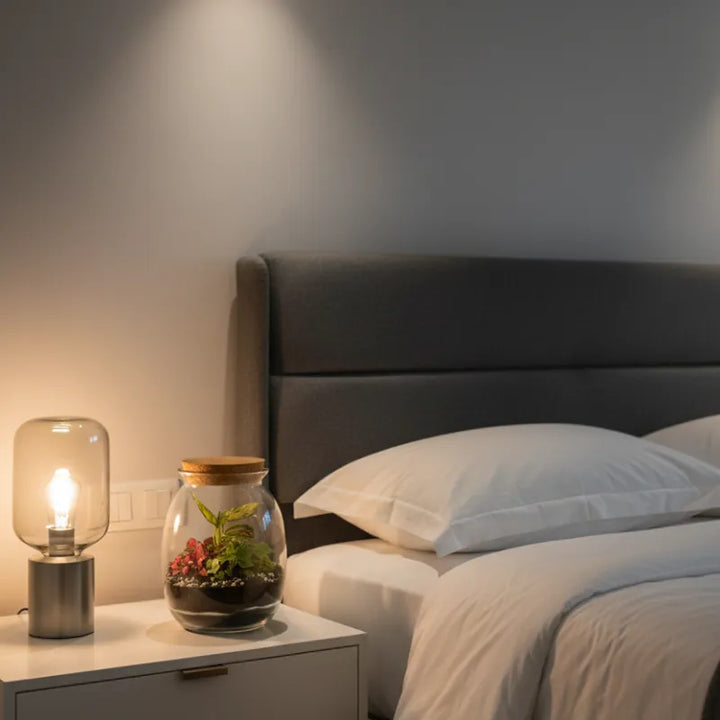 Terrarium piante prezzo - Immagine ravvicinata del contenitore in vetro