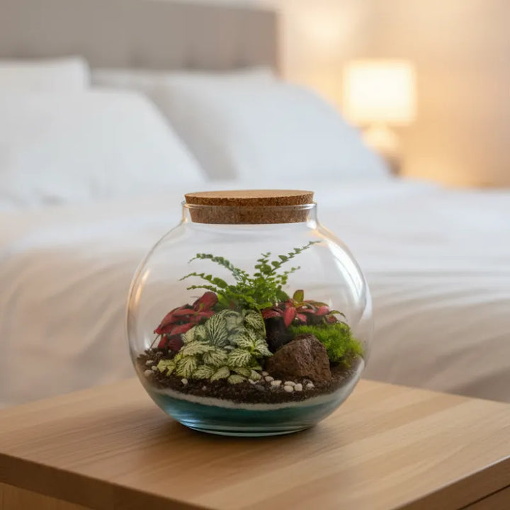 Terrarium piante prezzo - Terrarium con piante verdi da interno in primo piano