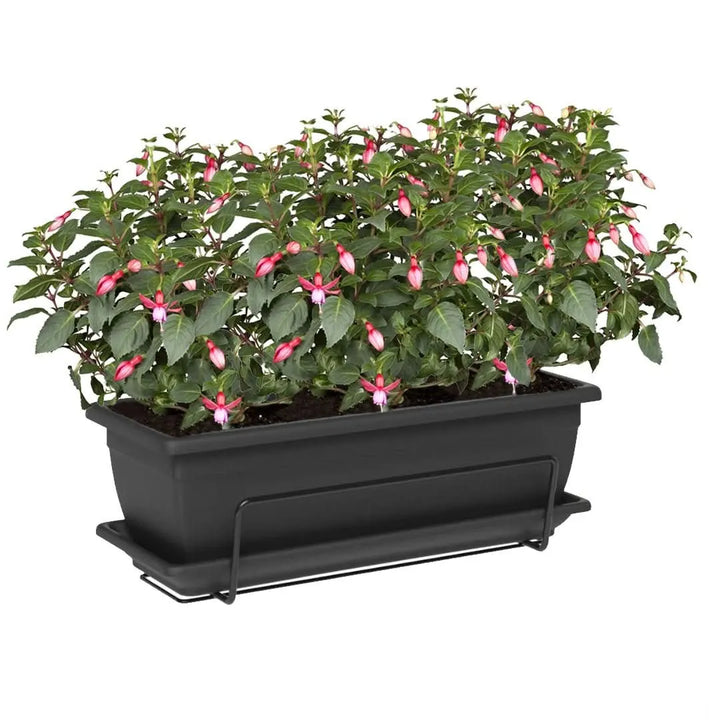 Fioriera balcone nera con fucsie fiorite – Kit completo I Giardini di Giulia

