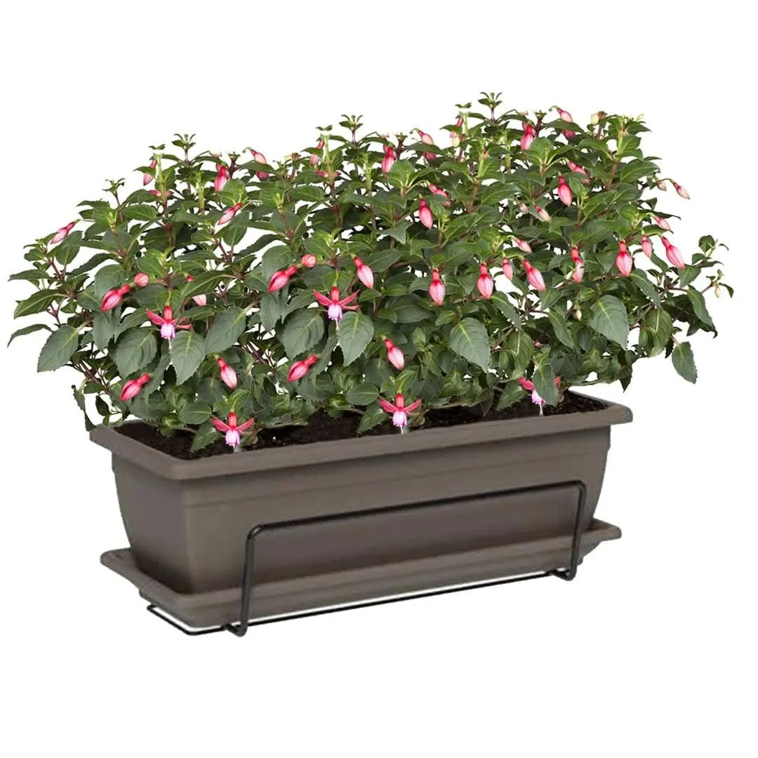 Fioriera balcone antracite con piante di Fucsia – I Giardini di Giulia

