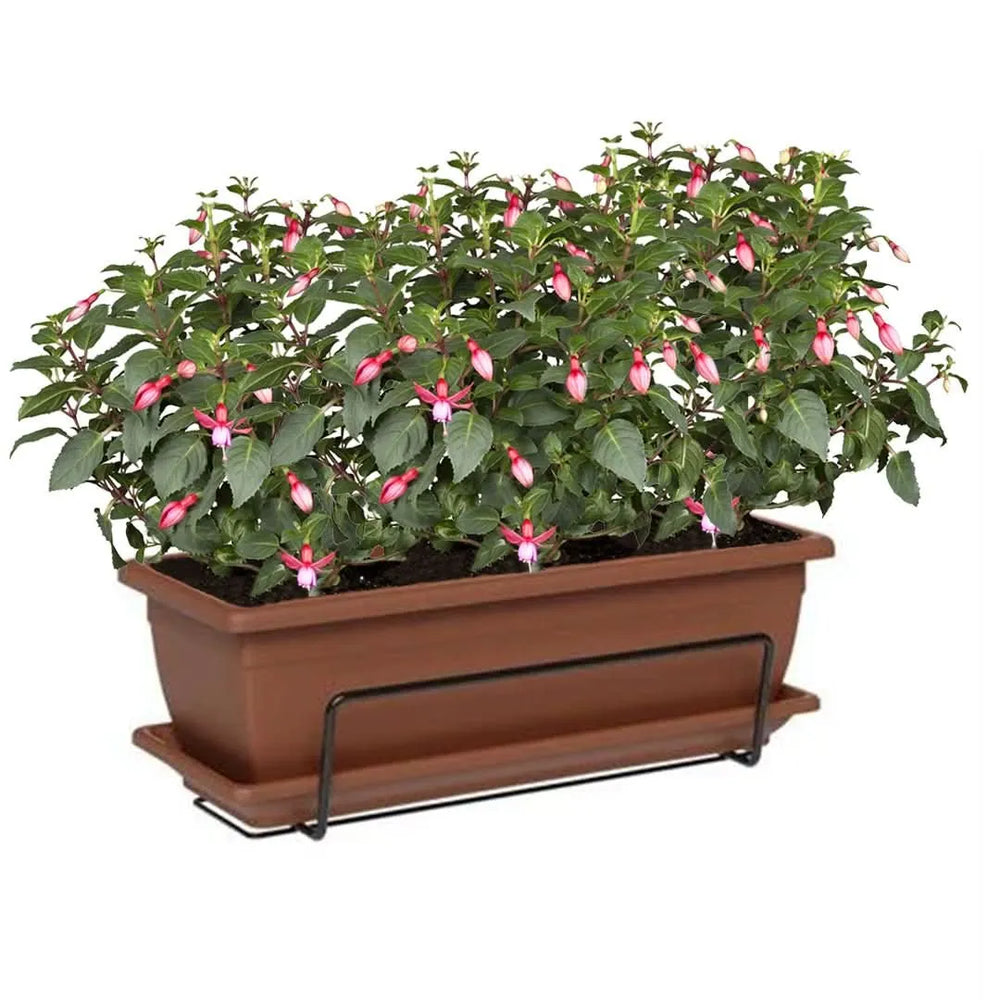 Fioriera balcone marrone con piante di Fucsia in fiore – I Giardini di Giulia

