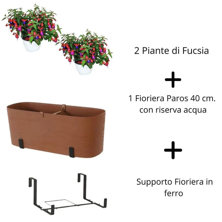 Contenuto Kit Paros con Fucsia – 2 piante, fioriera e supporto

