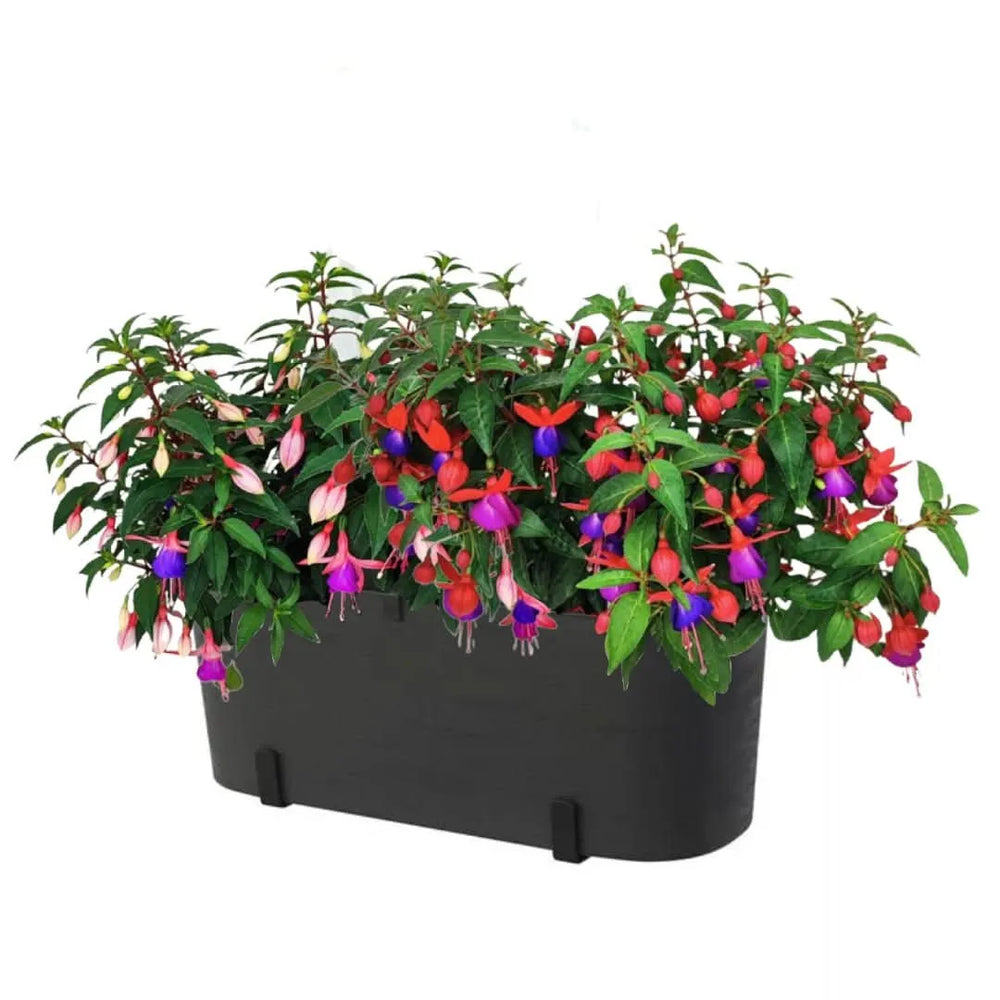 Fioriera Paros nera con Fucsia – composizione balcone

