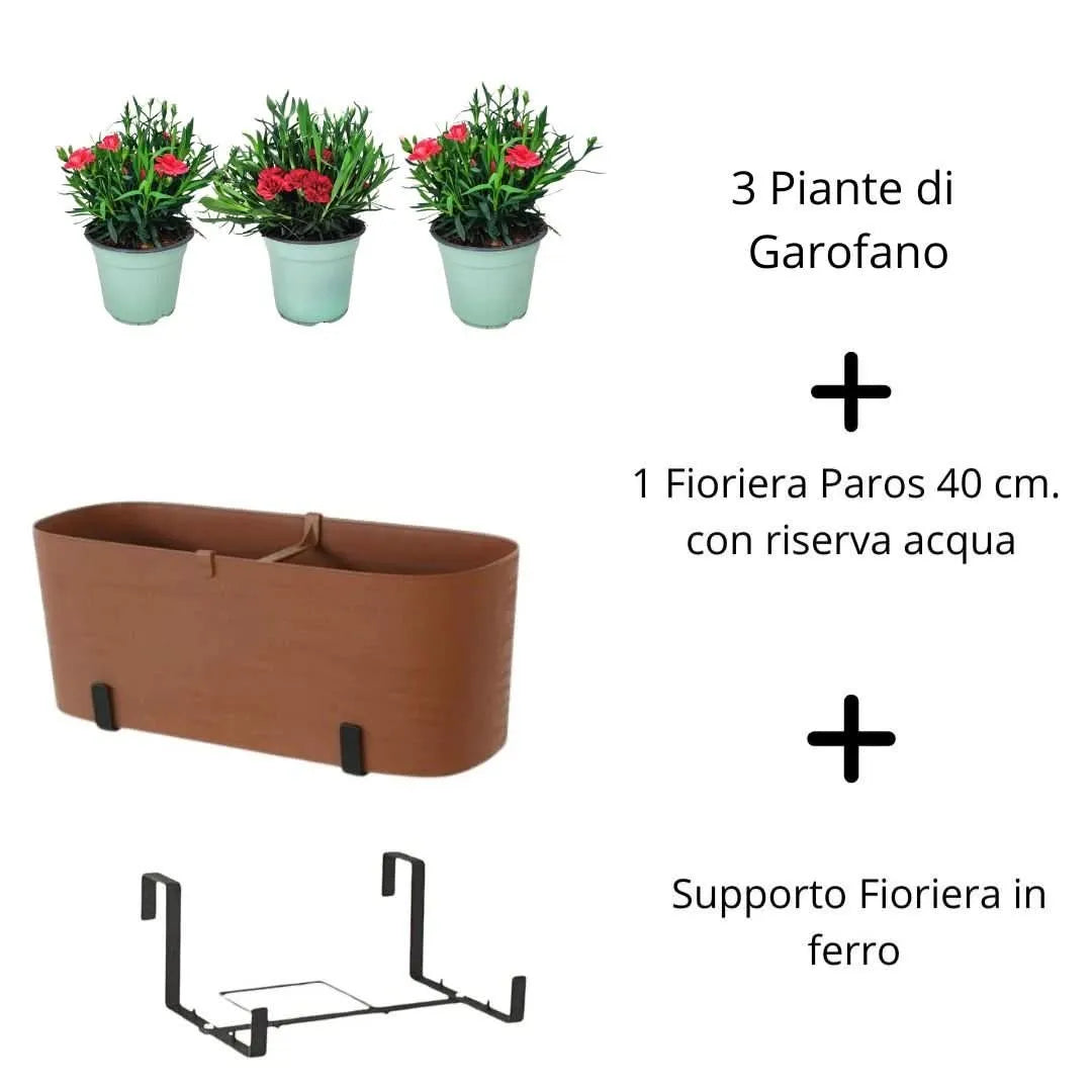 Garofano & Fioriera Paros 40 cm tutto incluso - i Giardini di Giulia