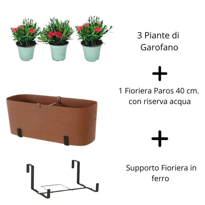 Garofano & Fioriera Paros 40 cm tutto incluso - i Giardini di Giulia