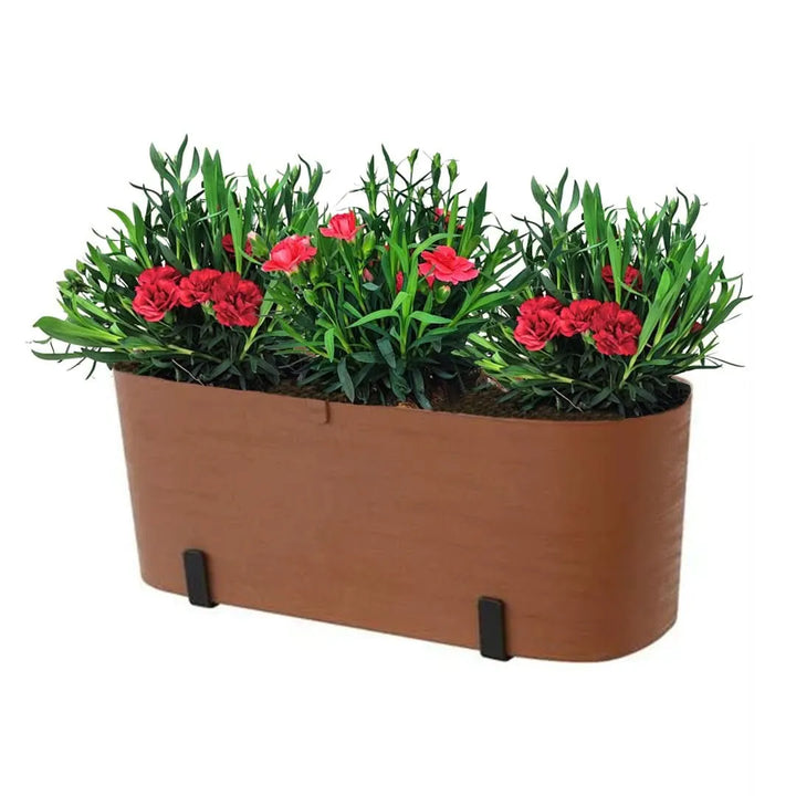 Kit Fioriera Paros 40 cm con 3 piante di Garofano, ideale per balconi