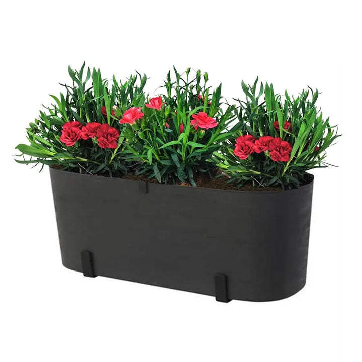 Kit Fioriera Paros 40 cm con 3 piante di Garofano, ideale per balconi