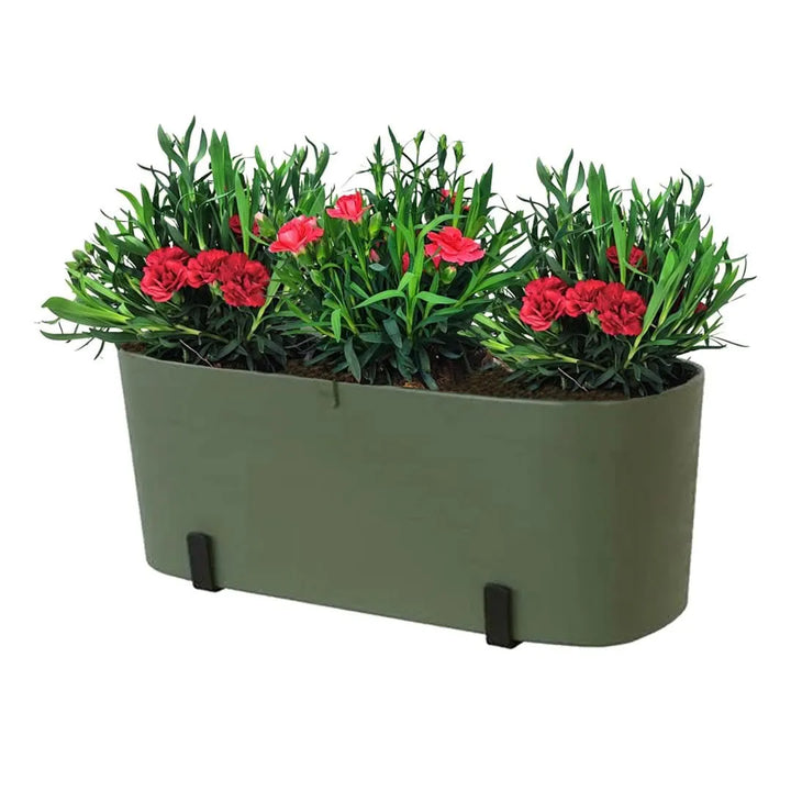 Kit Fioriera Paros 40 cm con 3 piante di Garofano, ideale per balconi