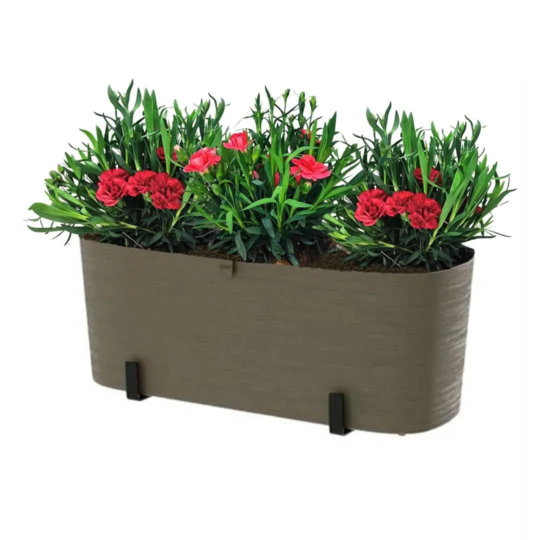 Kit Fioriera Paros 40 cm con 3 piante di Garofano, ideale per balconi