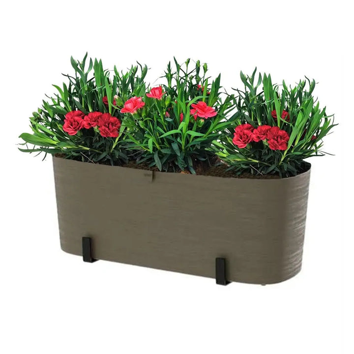 Kit Fioriera Paros 40 cm con 3 piante di Garofano, ideale per balconi