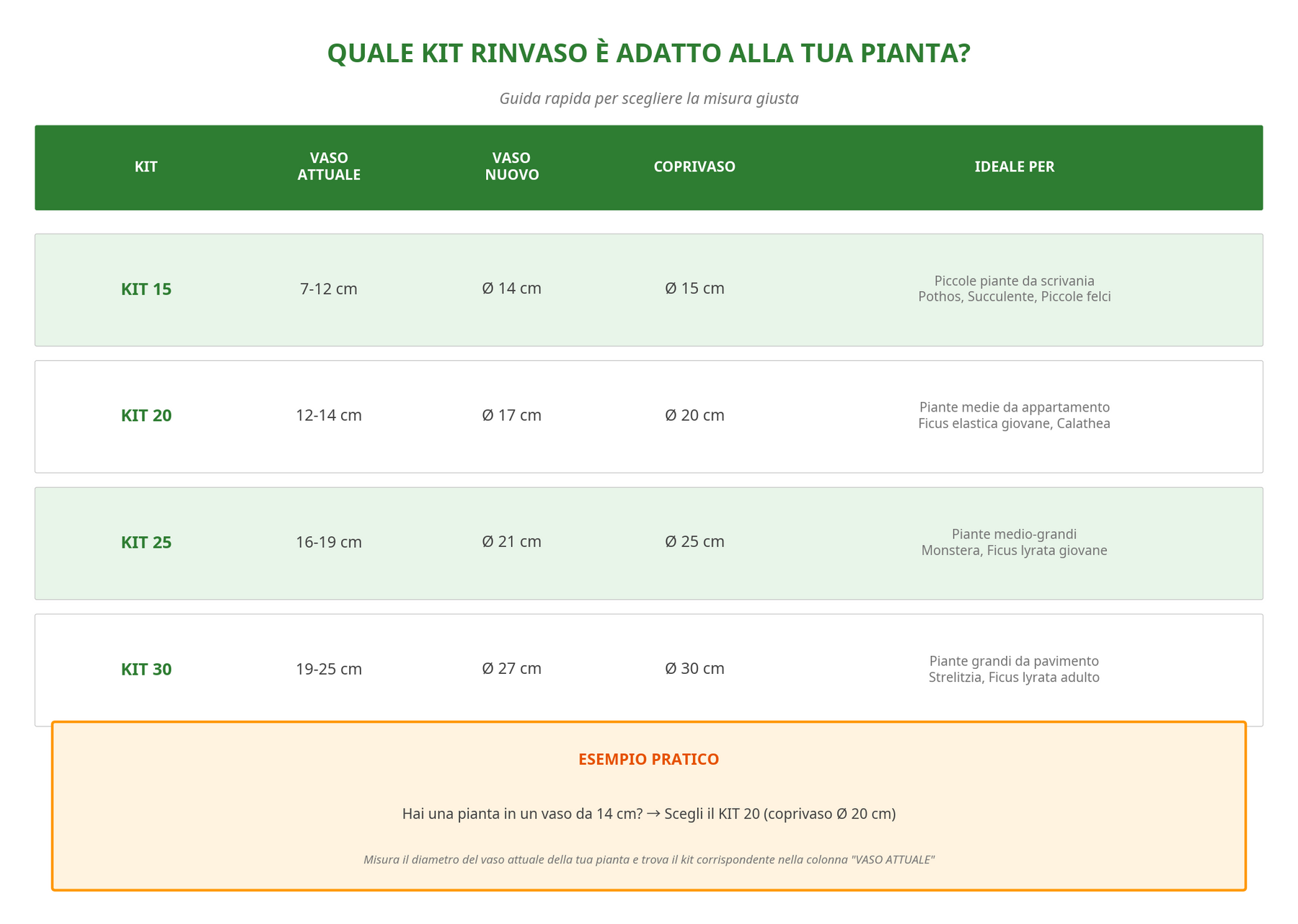 Guida alla scelta del kit rinvaso - Tabella comparativa misure
