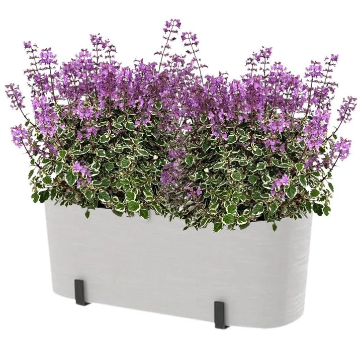 Hemizygia Candy Kisses Fioriera– Fiori Rosa Intenso, Pronta da Appendere - i Giardini di Giulia