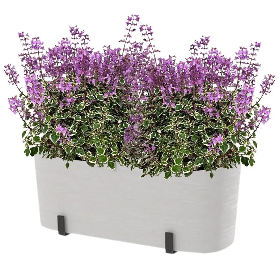 Hemizygia Candy Kisses Fioriera– Fiori Rosa Intenso, Pronta da Appendere - i Giardini di Giulia