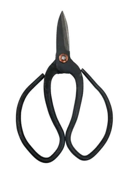 Kit 8 Attrezzi Per Bonsai - i Giardini di Giulia