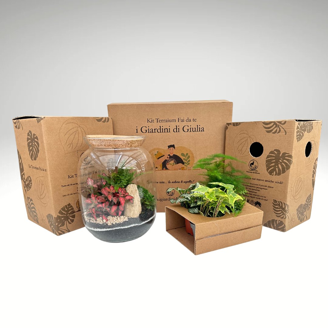 Kit Fai Da Te Terrarium Completo - Crea il Tuo Mini Giardino Elegante - i Giardini di Giulia