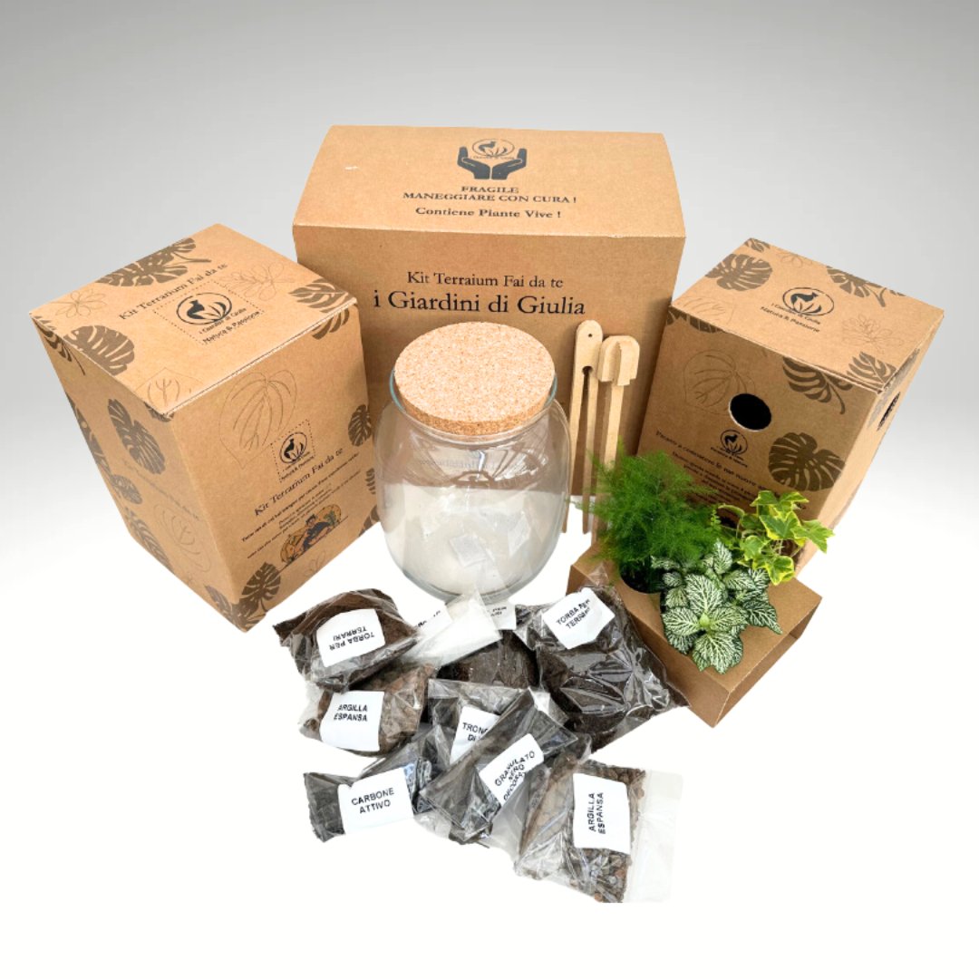 Kit Fai Da Te Terrarium Completo - Crea il Tuo Mini Giardino Elegante - i Giardini di Giulia