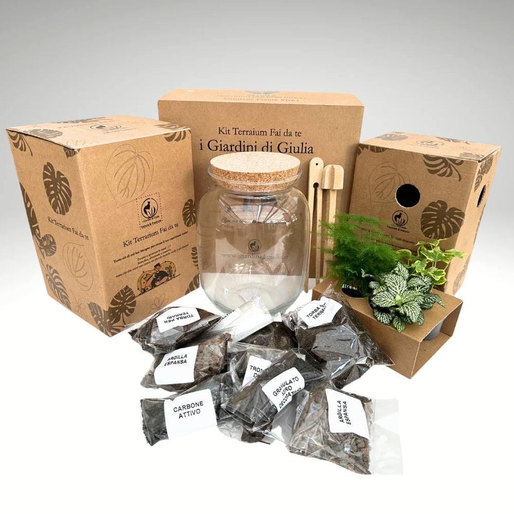 Kit Fai Da Te Terrarium Completo - Crea il Tuo Mini Giardino Elegante - i Giardini di Giulia