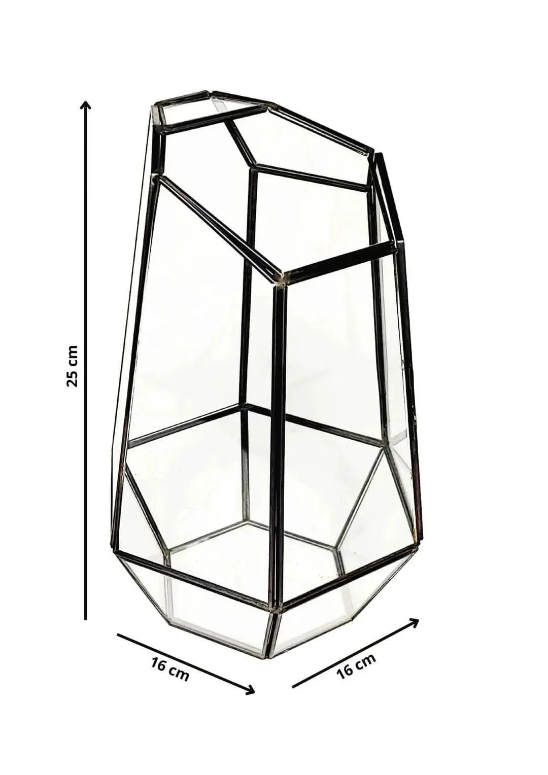 Contenitore in vetro geometrico per terrarium, con struttura in metallo nero e misure 25 cm di altezza e 16 cm di diametro, ideale per creare micro giardini da interno.
