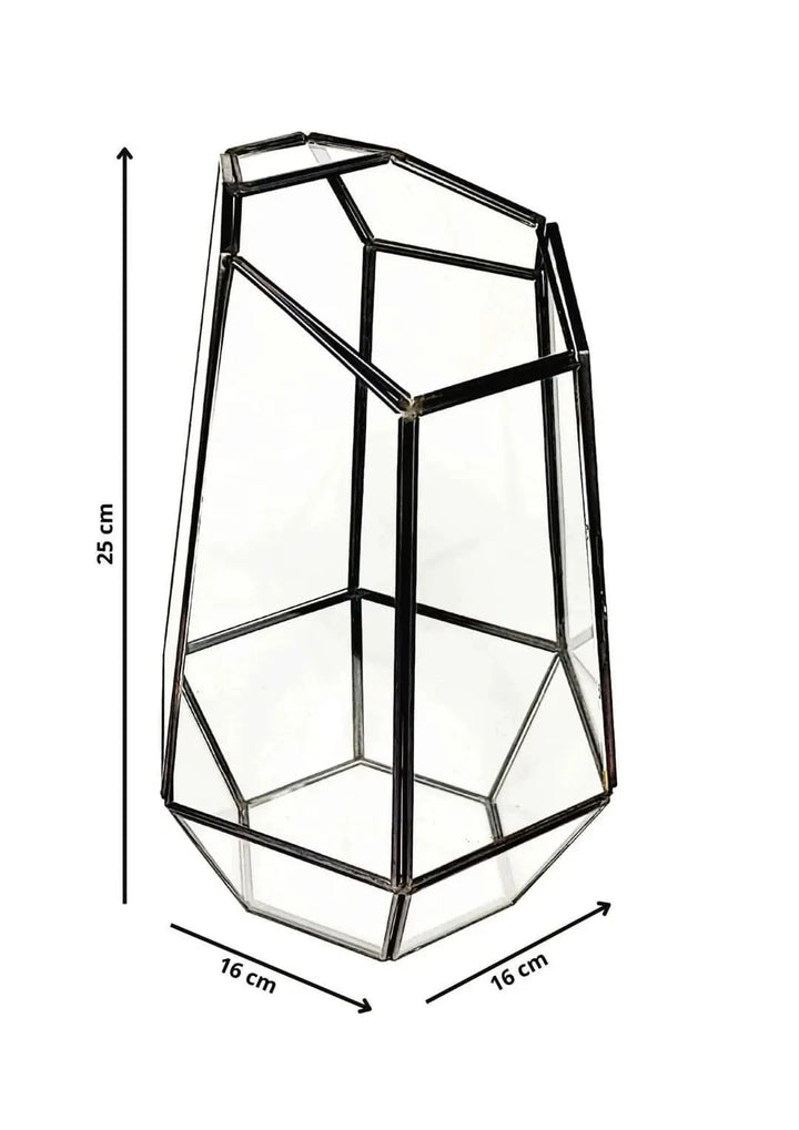 Contenitore in vetro geometrico per terrarium, con struttura in metallo nero e misure 25 cm di altezza e 16 cm di diametro, ideale per creare micro giardini da interno.
