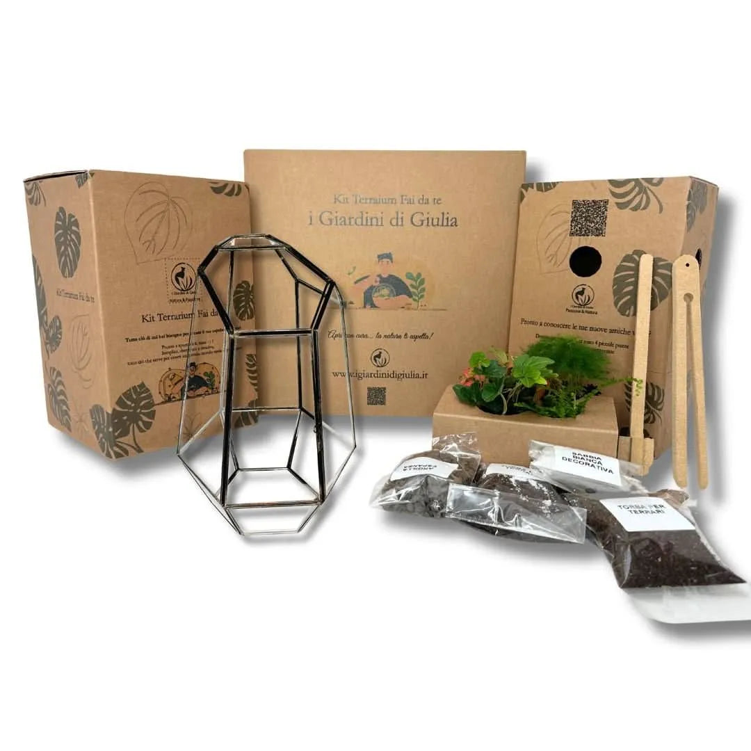 Kit Terrarium Fai Da Te Geometrico Florine de I Giardini di Giulia con contenitore in vetro geometrico, piante vive, substrati naturali e attrezzi, confezionato in scatole eco-friendly, ideale per creare un micro giardino da interno dal design moderno.
