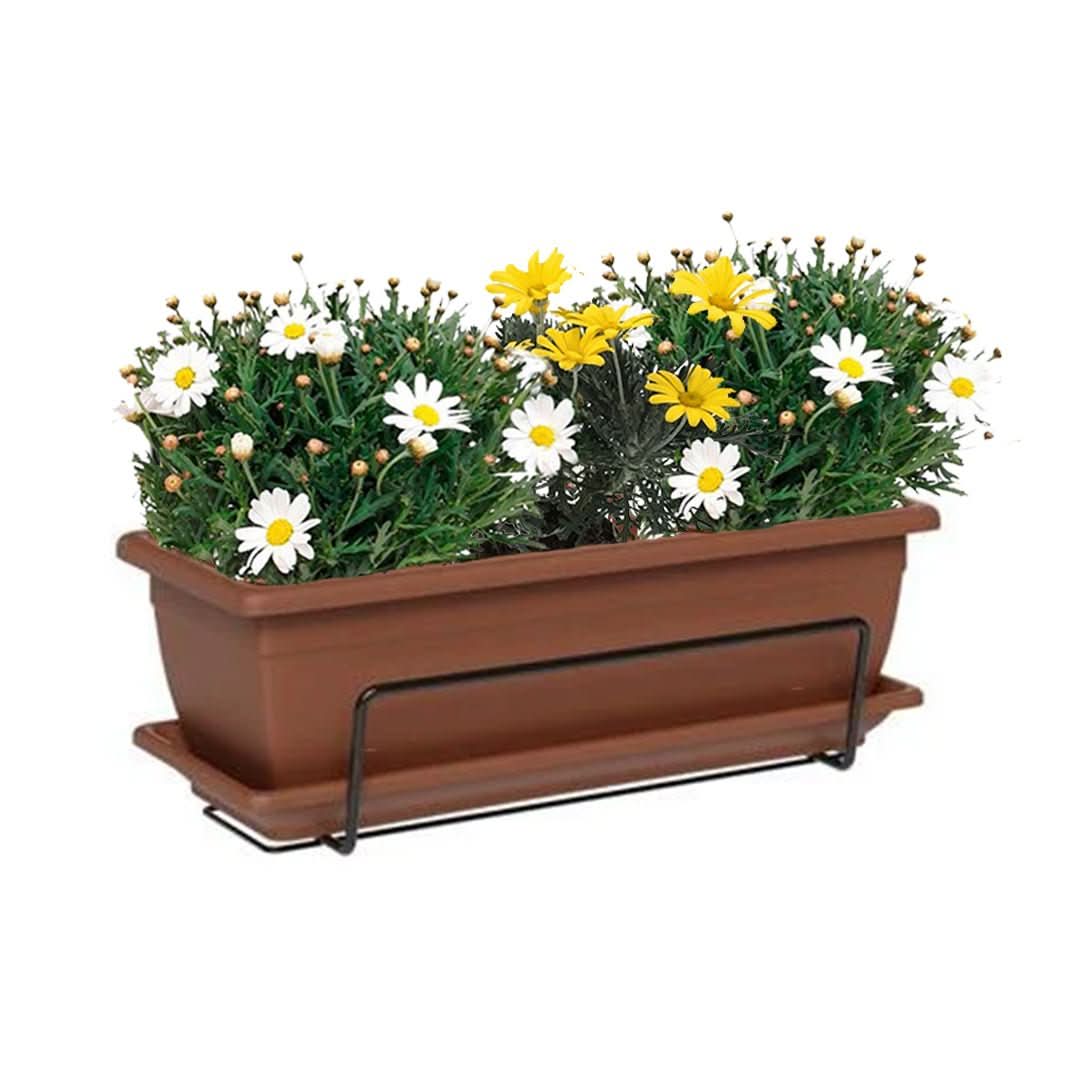 Fioriera Nara color Argilla con Euryops e Margherite in fiore – I Giardini di Giulia