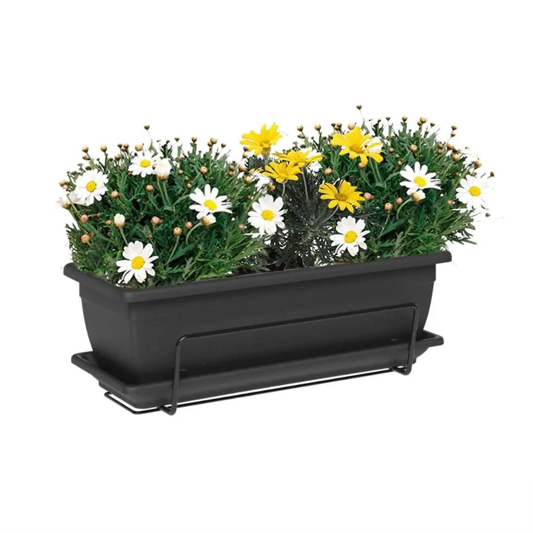 Fioriera Nara color Nero con composizione di Euryops e Margherite – I Giardini di Giulia