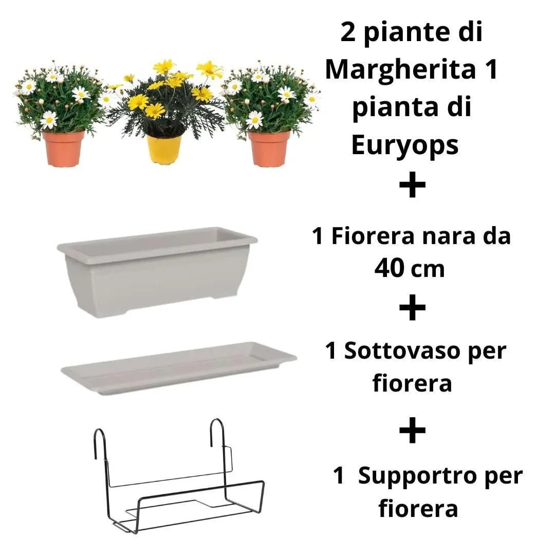 Set completo Fioriera Nara con 3 piante – balcone fiorito