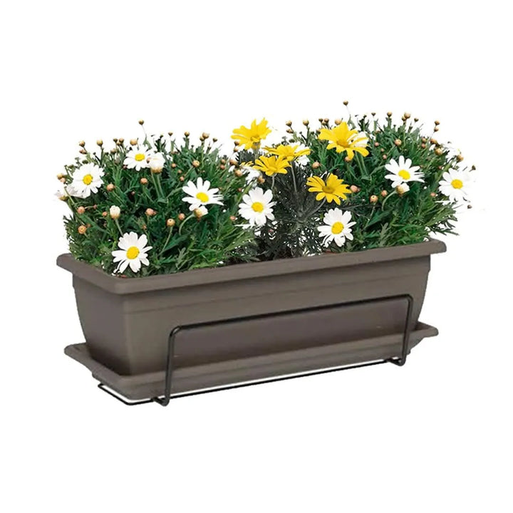 Fioriera Nara color Beige con Euryops e Margherite su balcone – I Giardini di Giulia