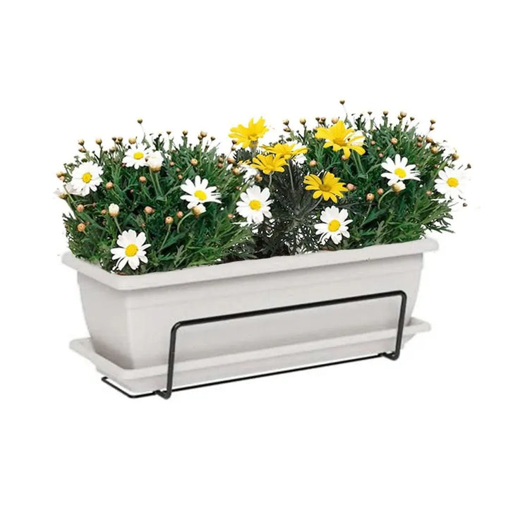 Fioriera Nara color Bianco con piante fiorite di Euryops e Margherite – I Giardini di Giulia