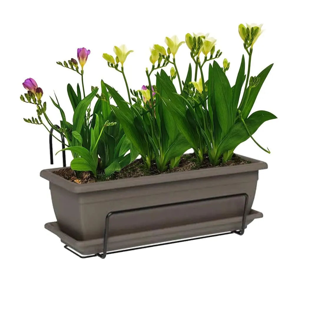 Kit Fioriera Nara 40 cm con fresie - balcone fiorito e curato