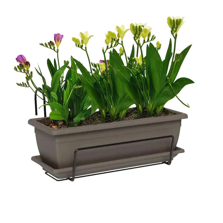 Kit Fioriera Nara 40 cm con fresie - balcone fiorito e curato