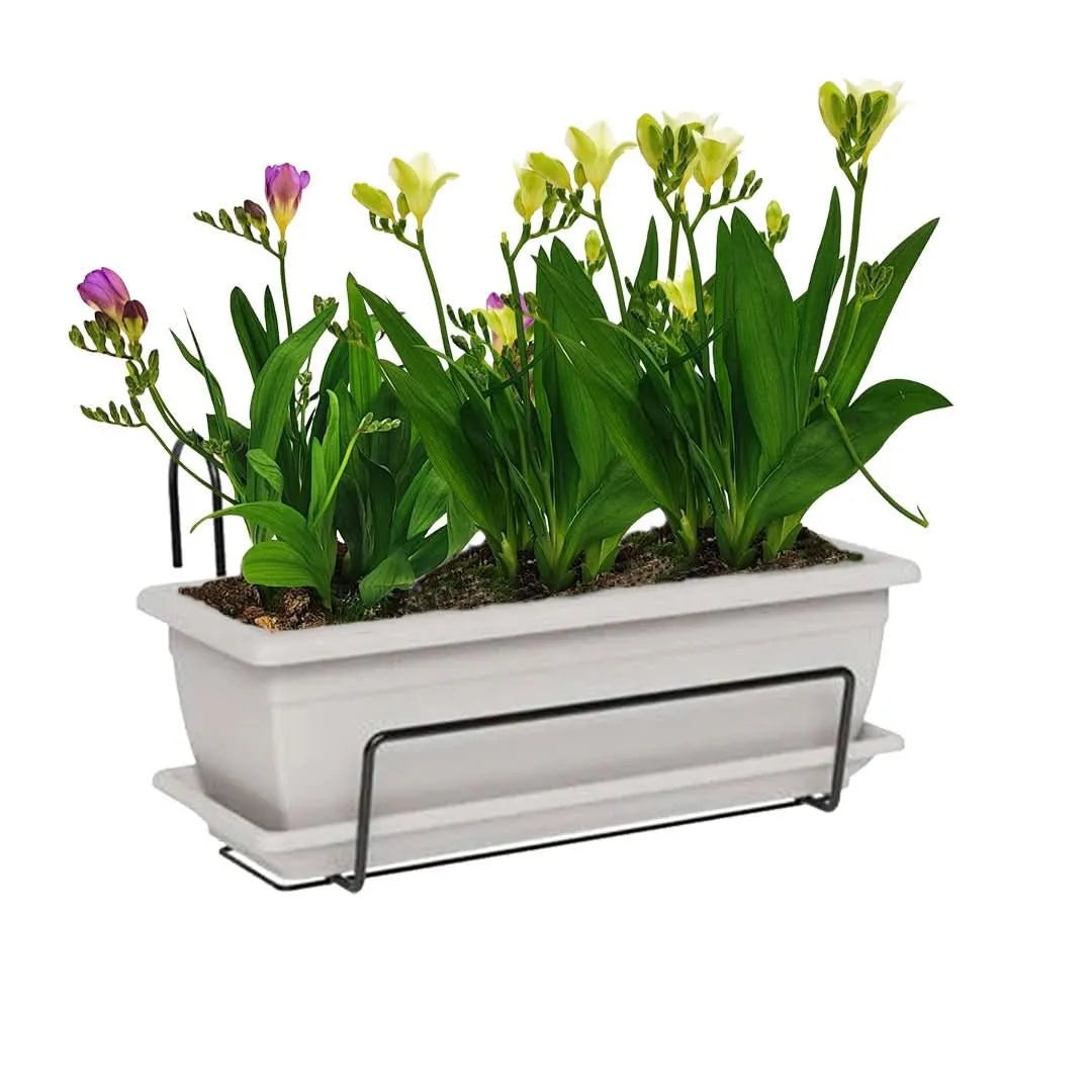 Kit Fioriera Nara 40 cm con fresie - balcone fiorito e curato