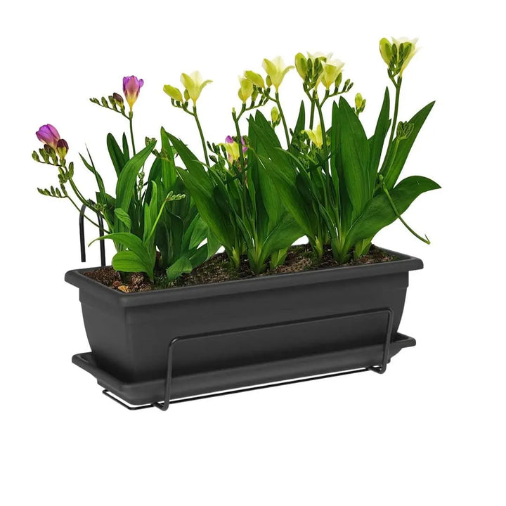 Kit Fioriera Nara 40 cm con fresie - balcone fiorito e curato