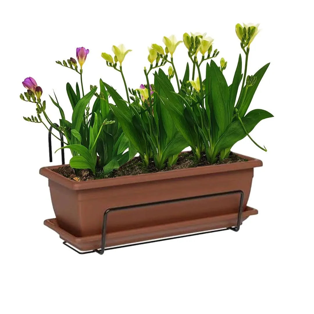 Kit Fioriera Nara 40 cm con fresie - balcone fiorito e curato