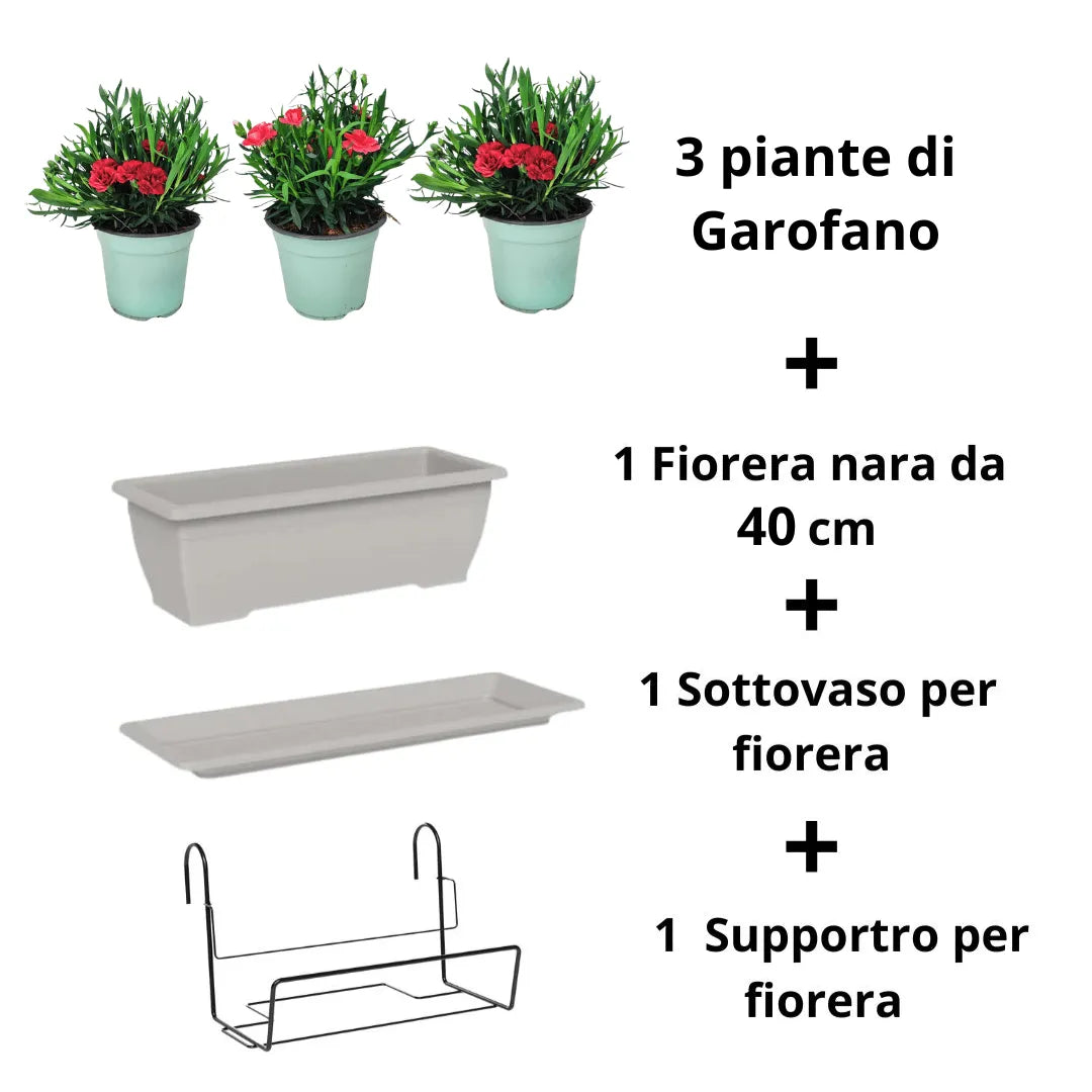 Kit con fioriera da balcone color tortora 40 cm con 3 Garofani rossi, sottovaso e supporto – I Giardini di Giulia