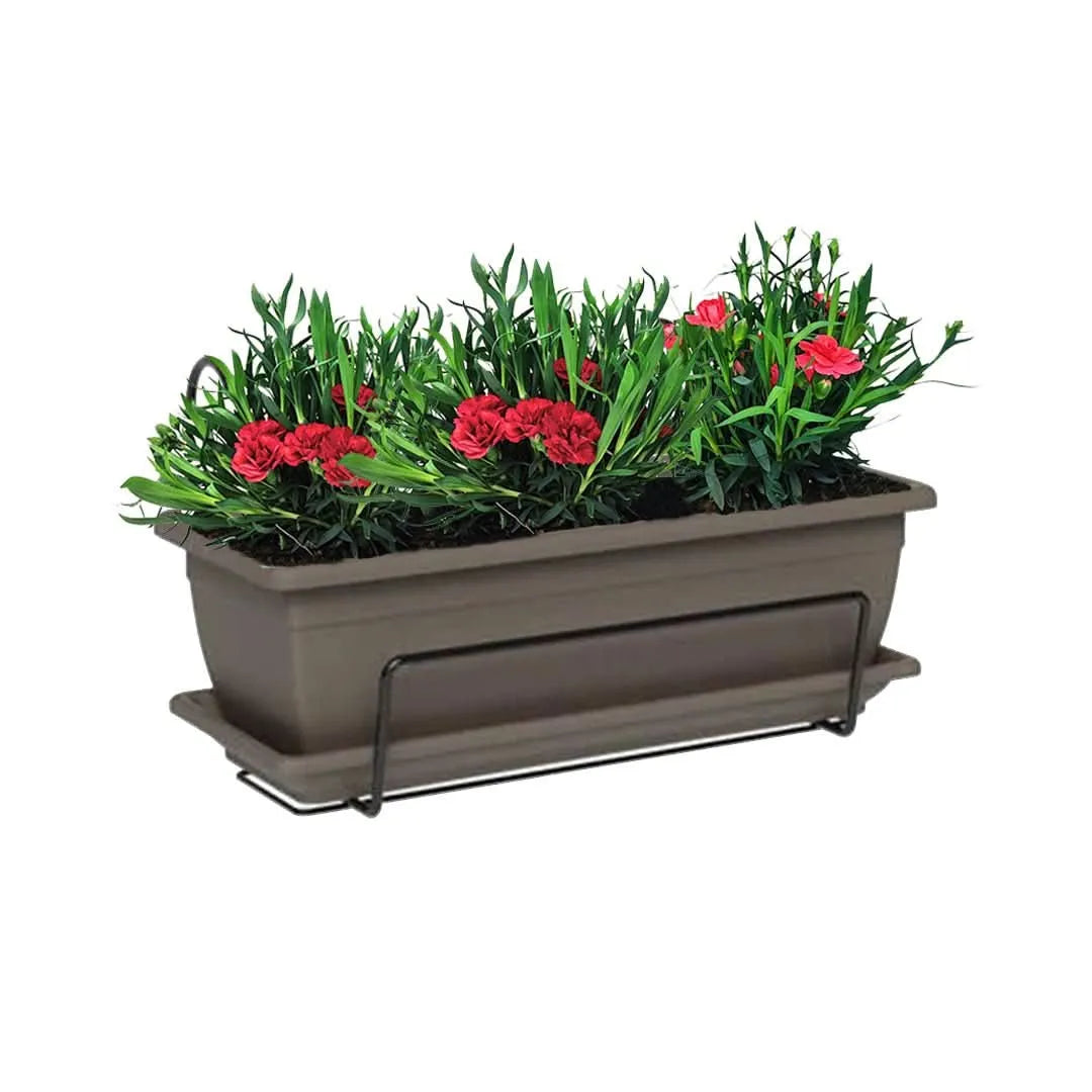 Kit con fioriera da balcone color tortora 40 cm con 3 Garofani rossi, sottovaso e supporto – I Giardini di Giulia