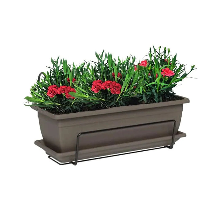 Kit con fioriera da balcone color tortora 40 cm con 3 Garofani rossi, sottovaso e supporto – I Giardini di Giulia