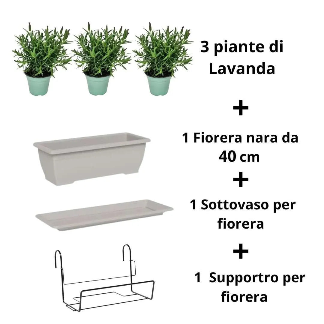 Kit fiorera Nara da balcone 40 cm con Lavanda - i Giardini di Giulia