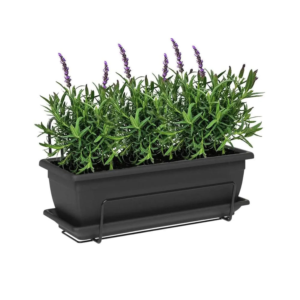 Kit Fioriera Nara 40 cm con 3 piante di Lavanda, ideale per balconi